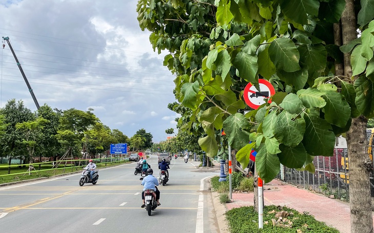 Nhiều biển báo giao thông tại TP.HCM ‘núp lùm’ gây khó tài xế