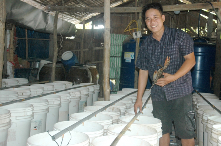 Ông giáo nuôi cua biển trong thùng nhựa - Ảnh 1.