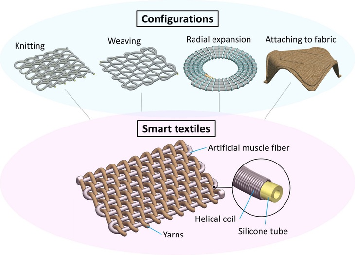 Vật liệu sợi thông minh có thể thay đổi hình dạng - Ảnh 1.