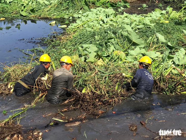 Chủ nhật xanh cải tạo cảnh quan đô thị - Ảnh 2.