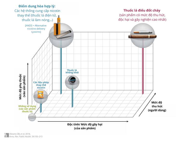 Thông tin chưa đầy đủ về sản phẩm giảm tác hại sẽ ảnh hưởng đến giải pháp cho người hút thuốc - Ảnh 2.