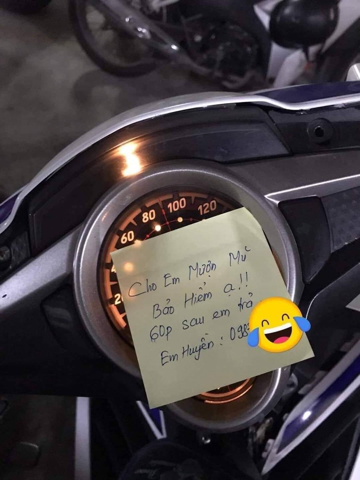 Ảnh vui 31/7: Cây xoài cạm bẫy khiến hàng xóm nhanh tay tìm rổ đựng - Ảnh 2. Ảnh vui 31/7: Cây xoài cạm bẫy khiến hàng xóm nhanh tay tìm rổ đựng - Ảnh 2.