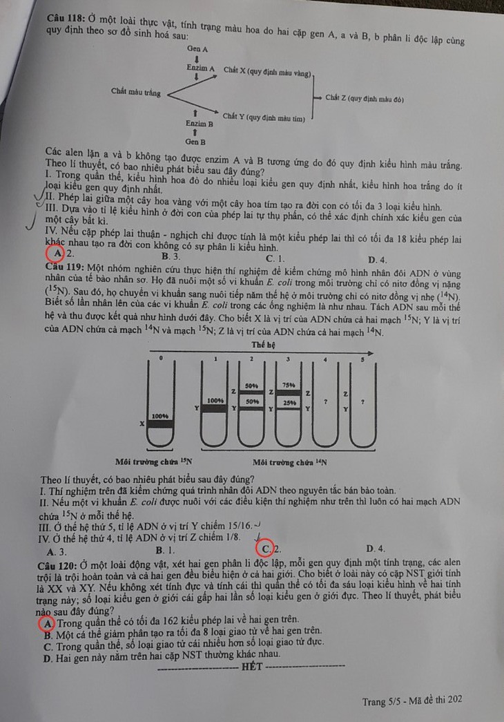 Gợi ý bài giải môn sinh học kỳ thi tốt nghiệp THPT 2022 - Ảnh 5.