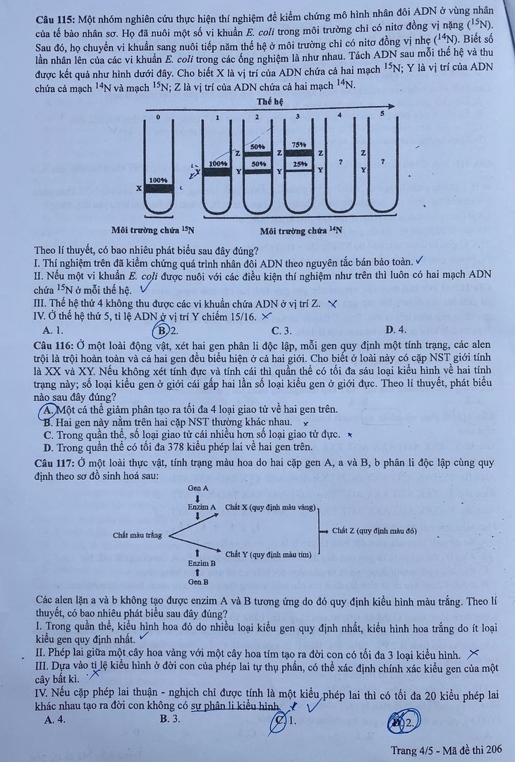 Đề thi môn sinh kỳ thi tốt nghiệp THPT năm 2022 - Ảnh 4.