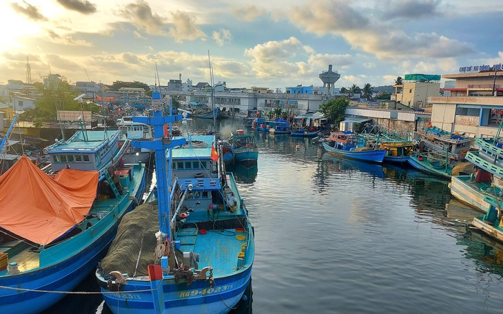 Tàu cá Quảng Nam nằm bờ hàng loạt vì đi biển là lỗ- Ảnh 3.