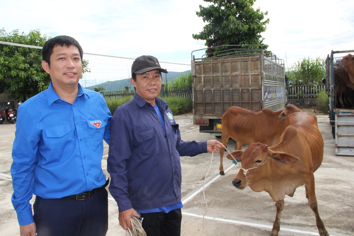 Được trao bò mừng hơn cả được tiền - Ảnh 3.