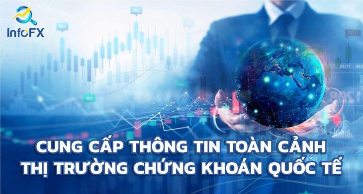 Vì sao nhà đầu tư cần một cổng tra cứu thông tin - Ảnh 4.