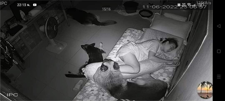 Cảnh nữ gia chủ bị bóng đè gây sốt mạng xã hội - Ảnh 1. Cảnh nữ gia chủ bị bóng đè gây sốt mạng xã hội - Ảnh 1.