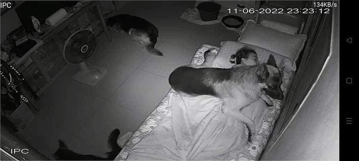 Cảnh nữ gia chủ bị bóng đè gây sốt mạng xã hội - Ảnh 3. Cảnh nữ gia chủ bị bóng đè gây sốt mạng xã hội - Ảnh 3.