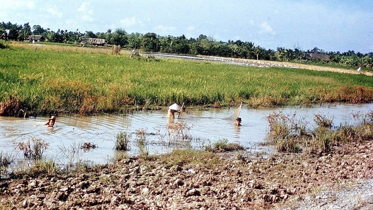 Em chở mùa hè của tôi đi đâu? - Kỳ 6: Hè về cho mưa giăng đồng - Ảnh 2.