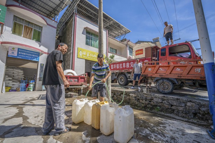 Hạn hán nghiêm trọng tại Trung Quốc: Lúa trên cánh đồng giờ đã khô hết - Ảnh 1.