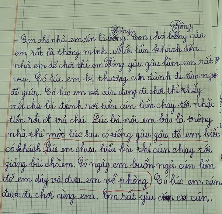 Bài văn tả cún cưng biết nhặt tiền, giảng bài, đỡ chủ dậy khiến dân mạng... lú luôn! - Ảnh 1.