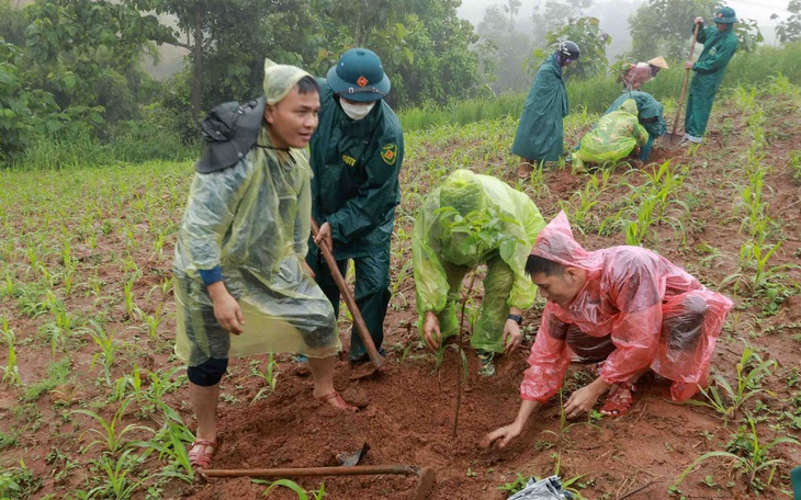 Cánh rừng Nguyễn Huy Thiệp ở bản Hua Tát