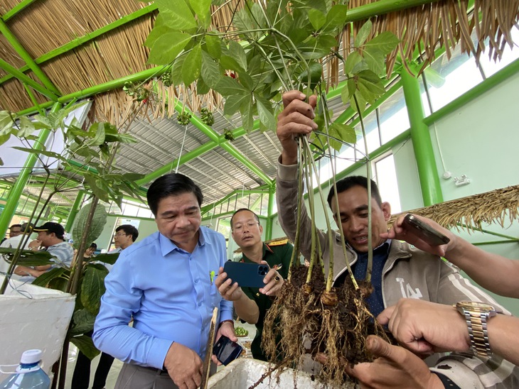 Rong chơi ở lễ hội sâm Ngọc Linh - Ảnh 6.