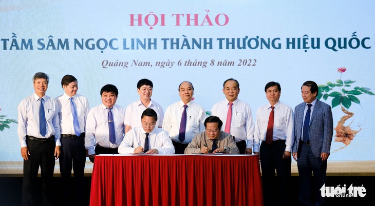 Quốc bảo sâm Ngọc Linh - giấc mơ tỉ đô - Ảnh 3.