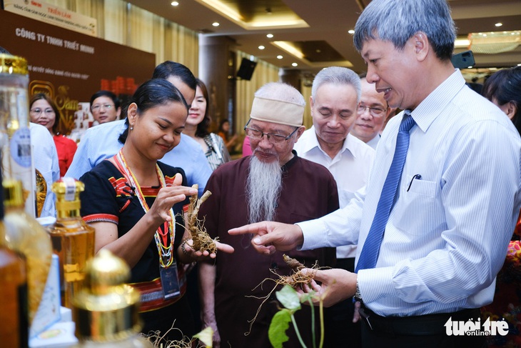 Quốc bảo sâm Ngọc Linh - giấc mơ tỉ đô - Ảnh 1.