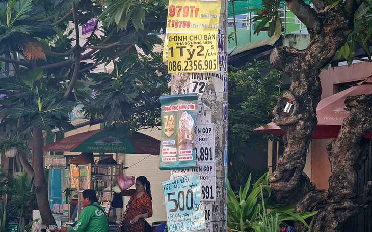 Tôi đi làm cò đất - Kỳ 4: Chân gỗ, đạp giá, phá kèo