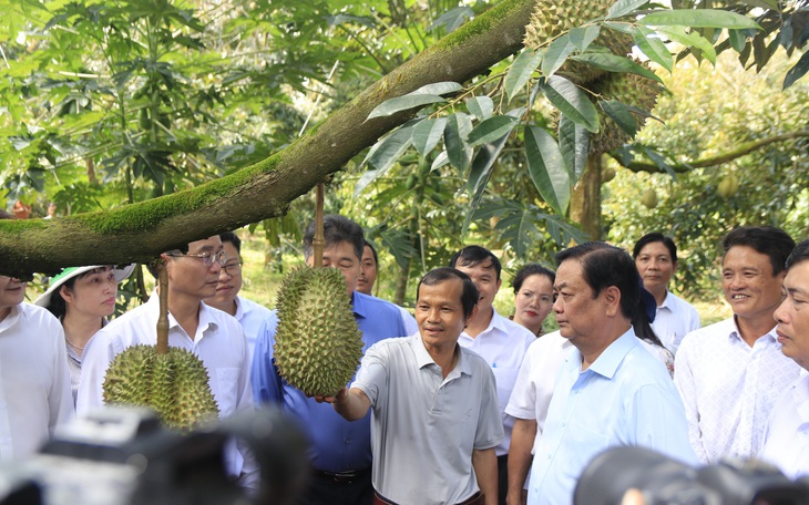 Xuất 20 công sầu riêng đầu tiên sang Trung Quốc theo đường chính ngạch