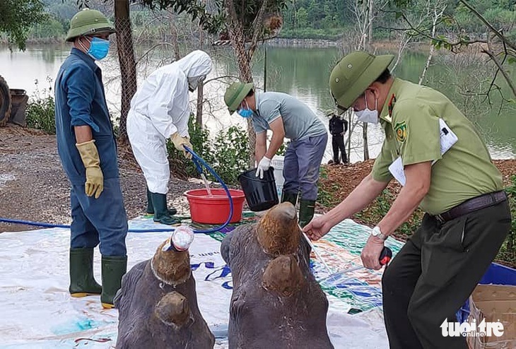 Đàn tê giác chết trong khu sinh thái xử lý thế nào? - Ảnh 1.