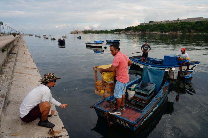 Bão Ian tiến sát Cuba, dân Florida ở Mỹ chạy đua gia cố nhà cửa - Ảnh 1.