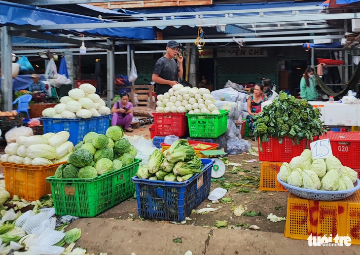 Tin sáng 28-9: Giá rau tăng do mưa bão; TP.HCM họp khẩn về sự cố võng cầu Nguyễn Hữu Cảnh - Ảnh 1.