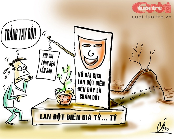 Lan đột biến giảm giá 1 triệu lần vẫn ế! - Ảnh 1.