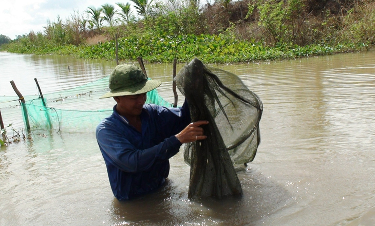 Tăng thu nhập từ mô hình sinh kế mùa lũ - Ảnh 1.