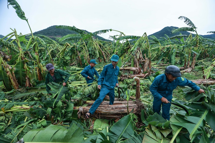 Những bài học sau bão Noru - Ảnh 1.