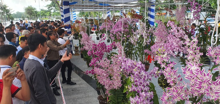 Lễ 2-9, nghệ nhân cả nước tề tựu về Cần Thơ dự hội thi lan - Ảnh 1. Lễ 2-9, nghệ nhân cả nước tề tựu về Cần Thơ dự hội thi lan - Ảnh 1.