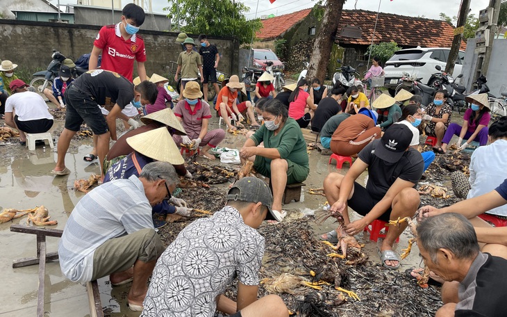 Trại gà hàng ngàn con chết ngộp vì mưa lũ, cả làng chung tay giúp đỡ