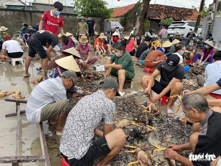 Trại gà hàng ngàn con chết ngộp vì mưa lũ, cả làng chung tay giúp đỡ - Ảnh 1.