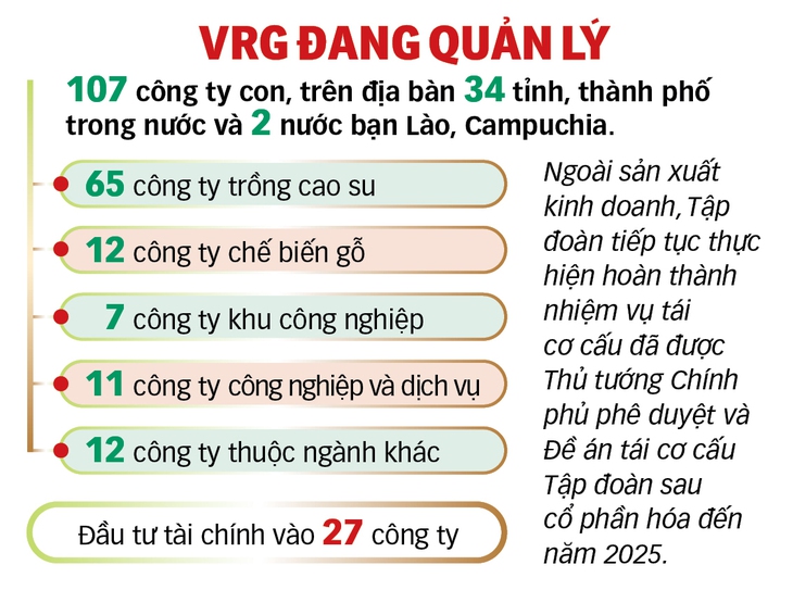 Ngành cao su phát huy truyền thống trên chặng đường mới - Ảnh 2.