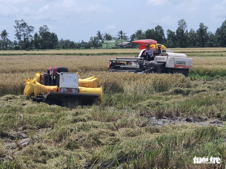 Xăng, dầu ở miền Tây: Nơi vẫn thiếu, nơi tạm ổn - Ảnh 2.