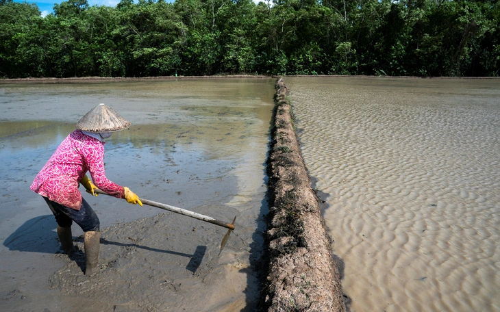 Châu Âu tháo dỡ hàng trăm đập nước để 'giải phóng' các dòng sông - Ảnh 3.
