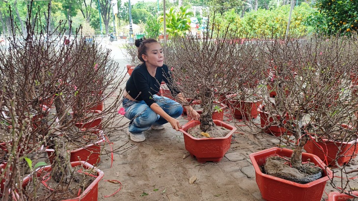 Nhà vườn gánh chi phí hàng trăm triệu để bán hoa Tết - Ảnh 1. Nhà vườn gánh chi phí hàng trăm triệu để bán hoa Tết - Ảnh 1.