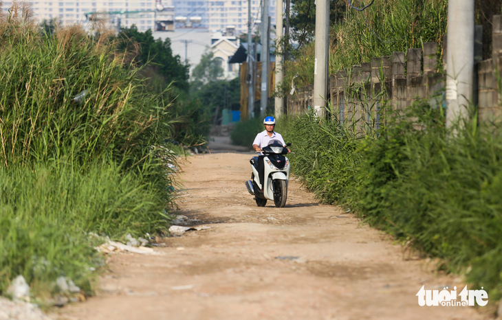 Tết Nguyên đán 2023, dân quận 7 phấn khởi với nhiều con hẻm được mở rộng - Ảnh 3.