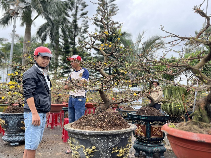 Mưa gió liên tục, chợ hoa Tết Quảng Ngãi đìu hiu - Ảnh 12. Mưa gió liên tục, chợ hoa Tết Quảng Ngãi đìu hiu - Ảnh 12.
