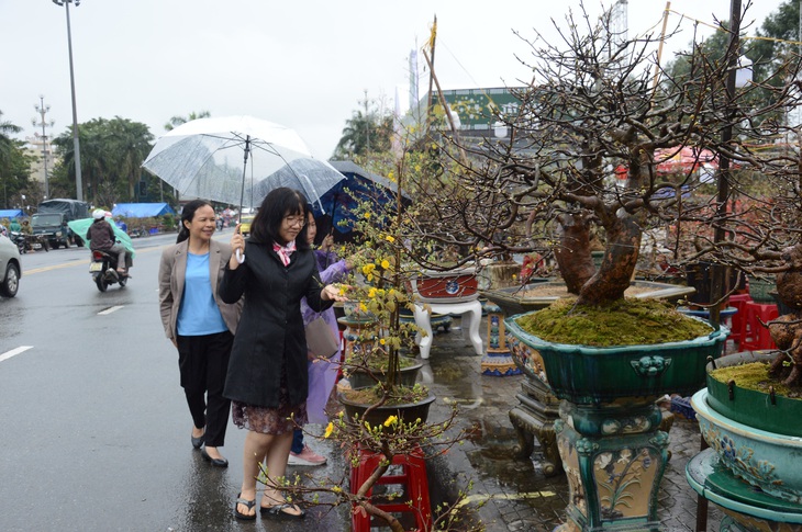 Mưa gió liên tục, chợ hoa Tết Quảng Ngãi đìu hiu - Ảnh 8. Mưa gió liên tục, chợ hoa Tết Quảng Ngãi đìu hiu - Ảnh 8.