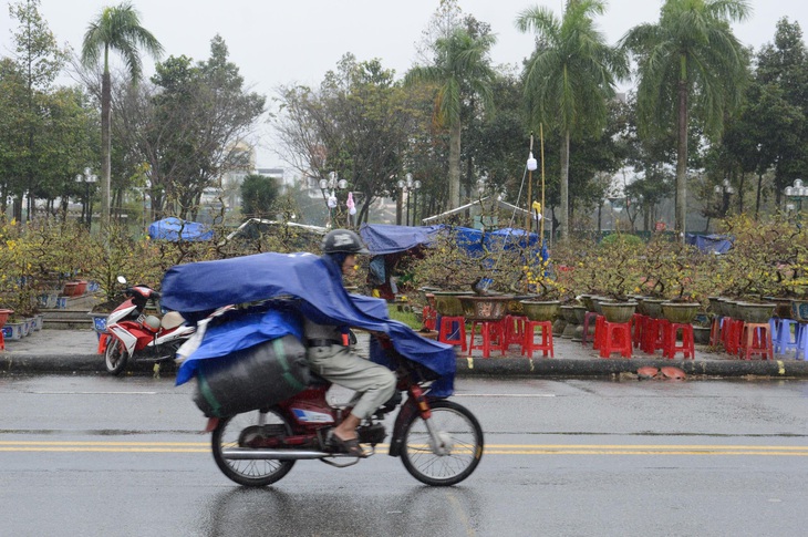 Mưa gió liên tục, chợ hoa Tết Quảng Ngãi đìu hiu - Ảnh 11. Mưa gió liên tục, chợ hoa Tết Quảng Ngãi đìu hiu - Ảnh 11.