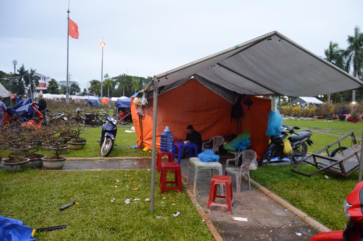 Mưa gió liên tục, chợ hoa Tết Quảng Ngãi đìu hiu - Ảnh 7. Mưa gió liên tục, chợ hoa Tết Quảng Ngãi đìu hiu - Ảnh 7.