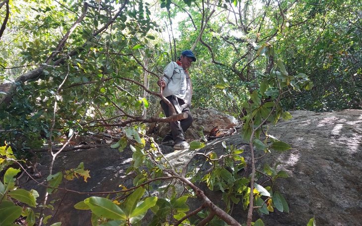 Săn mai rừng ở đảo Nam Du