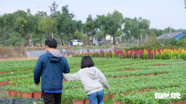 Ra ngoại thành TP.HCM xem nhà vườn chăm hoa kiểng Tết - Ảnh 8.