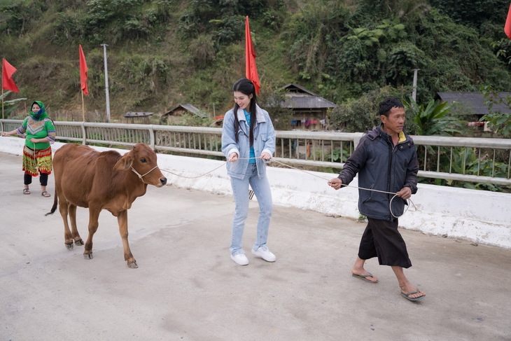 Ô là la, ra mà xem á hậu Phương Nhi dẫn bò về làng - Ảnh 4.