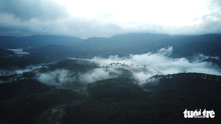 Cự ly 100km gần như hoàn toàn nằm trong rừng - Ảnh: M.V.