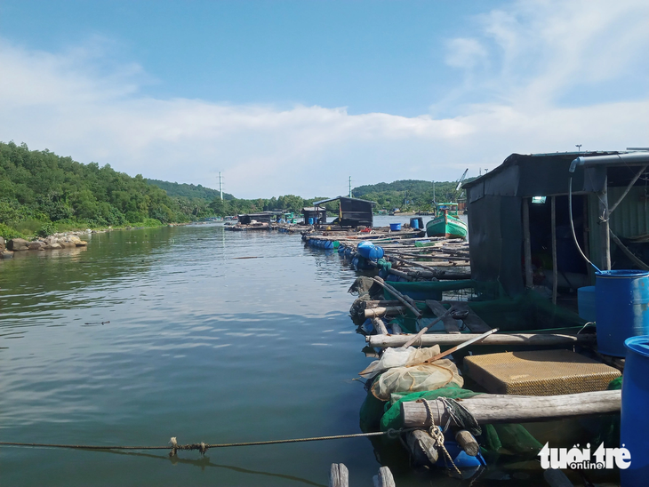 Nhiều hộ nuôi cá biển &quot;tố&quot; doanh nghiệp đã yêu cầu họ phải nộp tiền mới cho vào kênh Cầu Sấu - Ảnh: BỬU ĐẤU