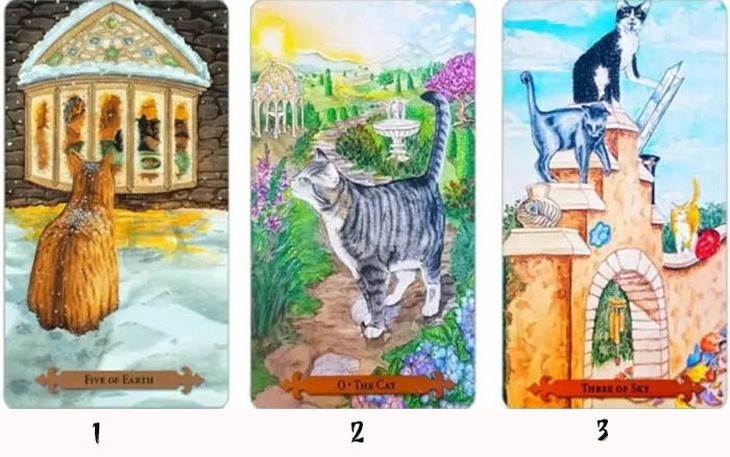 Tarot: Bạn cần làm gì để có hạnh phúc thực sự?