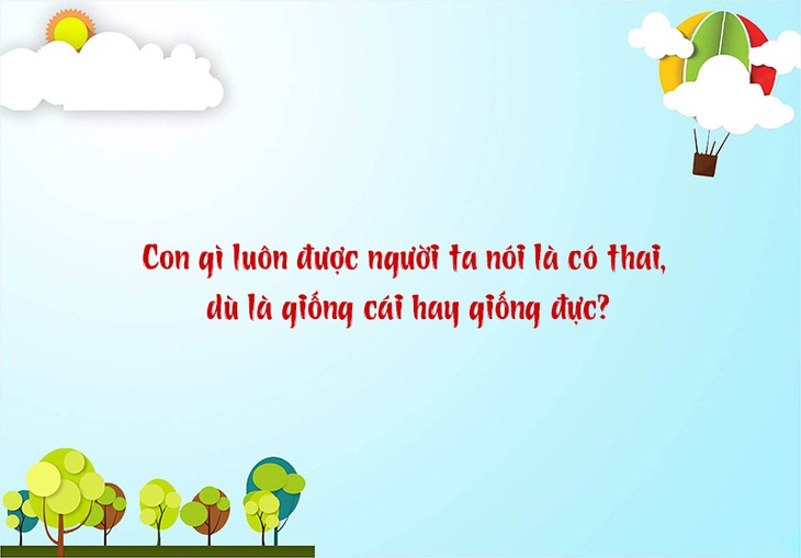 Câu đố hack não: Con gì luôn bị gọi có thai, dù giống cái hay giống đực? - Ảnh 1.