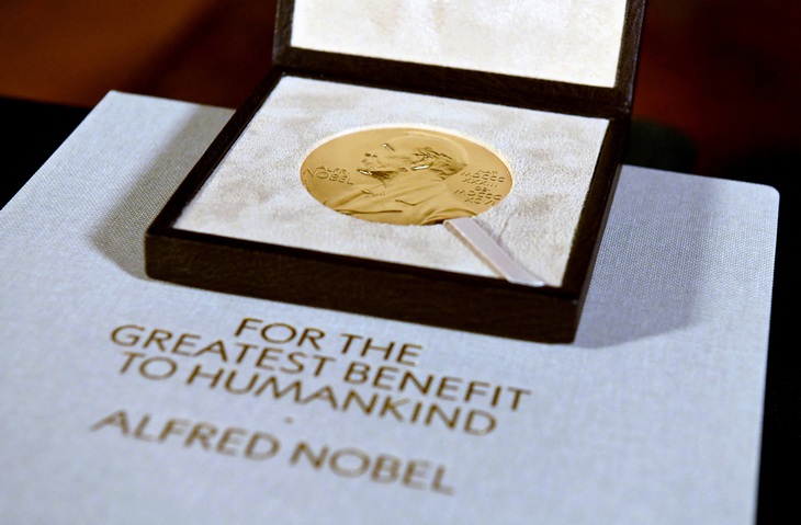 Nobel 2024: Liệu AI có thể giành giải thưởng? - Ảnh 1.