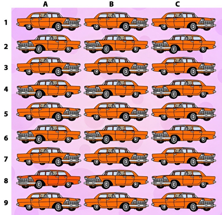 Thử tài tinh mắt: Mọi người thấy đầu chó cưng, còn bạn? - Ảnh 4.