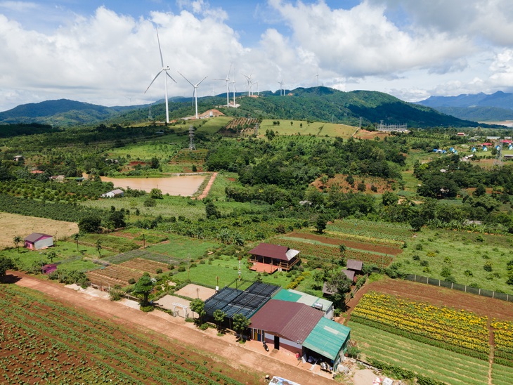 Du lịch Hướng Hóa thu hút khách nhờ một phần ở các cánh đồng điện gió tạo cảnh quan khác lạ - Ảnh: HOÀNG TÁO